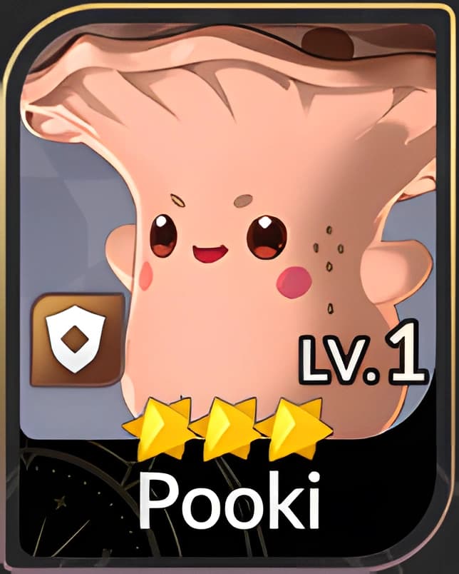 Pooki