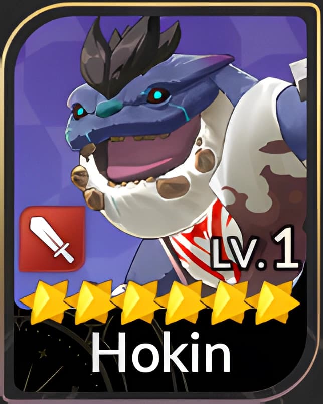 Hokin